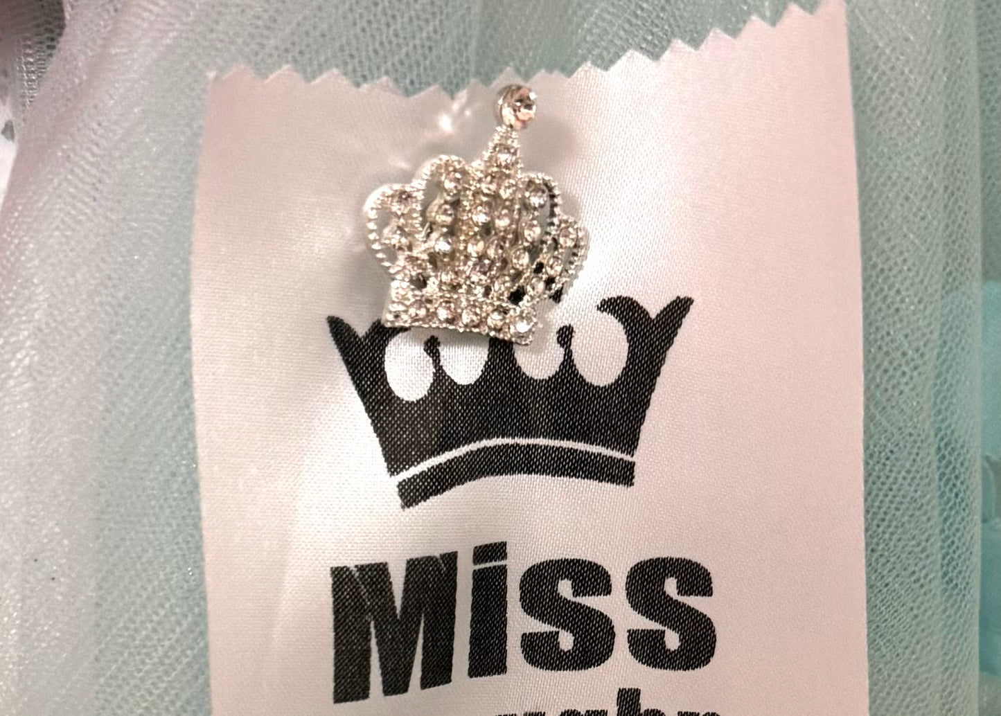 Magnetic Crown Brooch