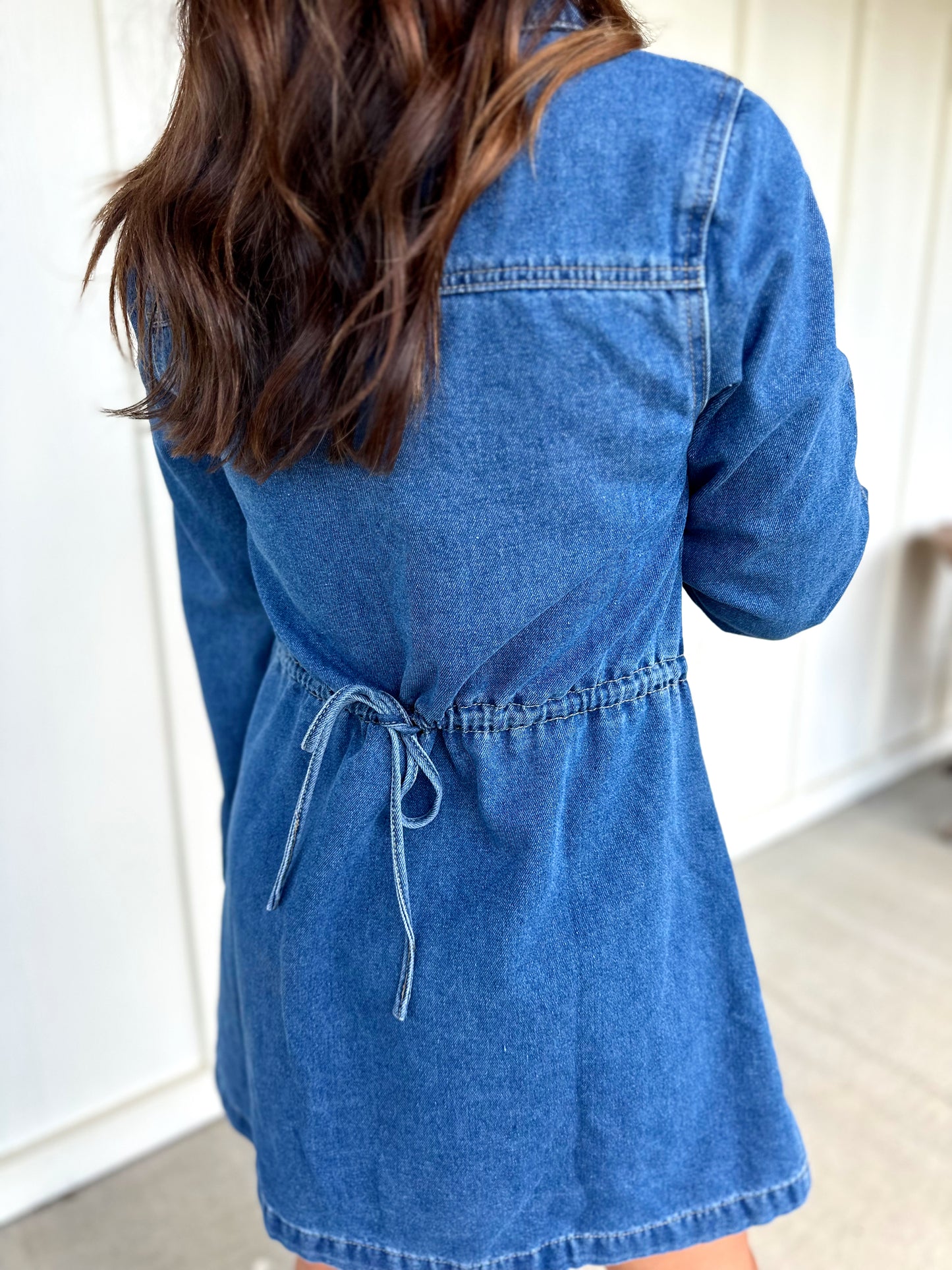 Indigo Denim Shirt Collar Mini Dress