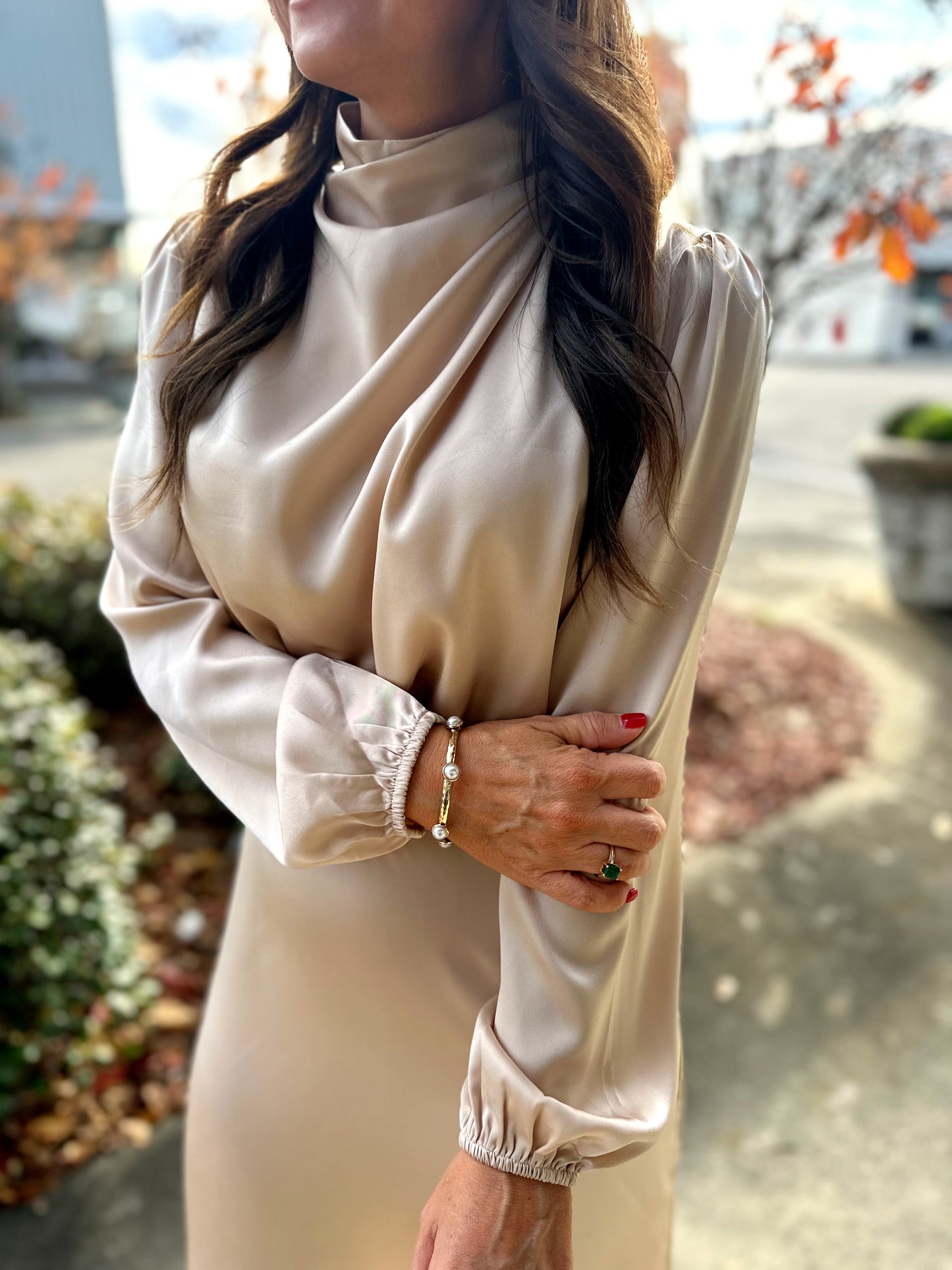 Satin Long Sleeve Loose Midi Dress (2 Colors)